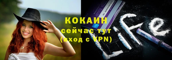 ПСИЛОЦИБИНОВЫЕ ГРИБЫ Каменка