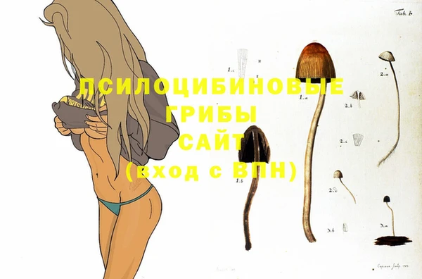 ПСИЛОЦИБИНОВЫЕ ГРИБЫ Каменка