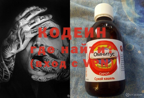 ПСИЛОЦИБИНОВЫЕ ГРИБЫ Каменка