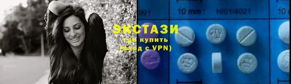 ПСИЛОЦИБИНОВЫЕ ГРИБЫ Каменка