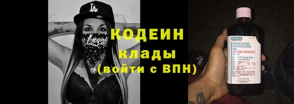 ПСИЛОЦИБИНОВЫЕ ГРИБЫ Каменка