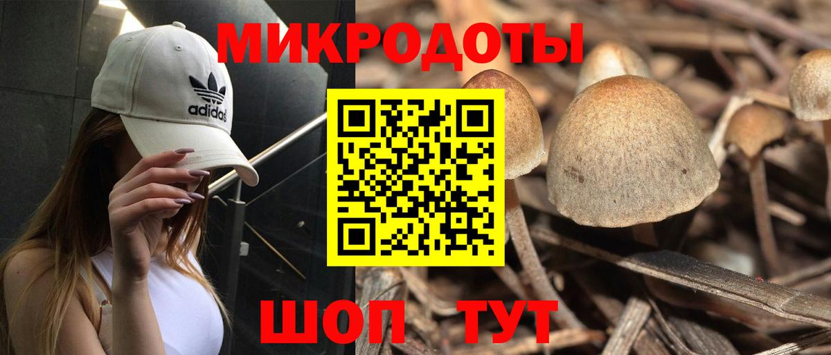 Петровск  Галлюциногенные грибы мицелий  Вход с VPN  Галлюциногенные грибы ЛСД 